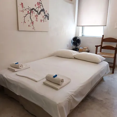 Evans House Apartman